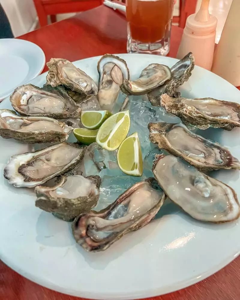 Sábado de disfrutar unos deliciosos ostiones en su concha 🤤